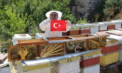 Arıların seçimi sonuçlandı