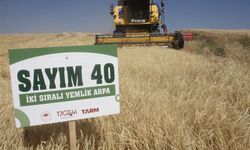 Yozgat’ta 15 arpa çeşidi denendi: Dekarda 760 kiloya kadar verim alındı