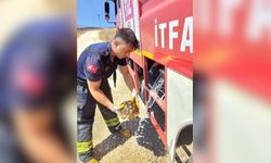 Alevlerin arasında kalan kaplumbağayı itfaiye kurtardı