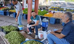 Yozgat'ta genç çiftçi bamya üretiminden memnun