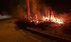 Alaca'da korkutan örtü yangını: İtfaiye alevleri yapılara sıçramadan söndürdü