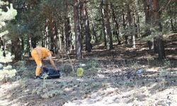 Ormanlar geleceğimizdir! Yozgat Valiliğinden çağrı
