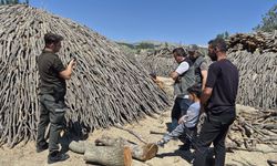Sorgun Orman İşletme Şefliği’nde üretim faaliyetleri denetlendi