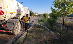 Yerköy’de ağaçların bakım ve sulama çalışmaları sürüyor
