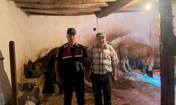 Yenifakılı’da kaybolan 2 büyükbaş hayvan bulundu