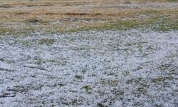 Yozgat’ta sağanak ve dolu tarım arazilerini vurdu: Binlerce dekar ekili alan zarar gördü