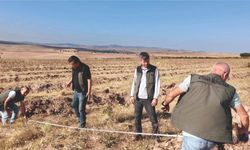 Sorgun’da 50 hektarlık alan ağaçlandırılacak