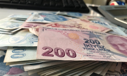 Kendi işini kuracaklar müjde: 735 bin TL'ye kadar destek verilecek