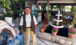 Yozgat’ın asırlık çınarı 100 yaşında!