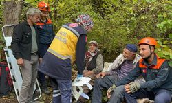 Kaybolan yaşlı çift bulundu