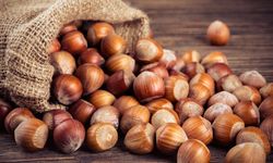 Fındık piyasasına sıkı denetim! 4 ticaret borsası mercek altında