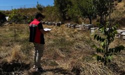 Yerköy İlçe Tarım ve Orman Müdürlüğü ekiplerince saha kontrolleri sürüyor