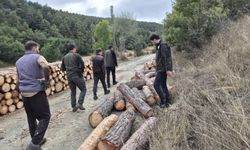 Çekerek’te ormancılık üretim faaliyetleri yerinde denetlendi