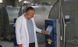 Yozgat’ta her gün 80 ton süt ekonomiye kazandırılıyor
