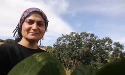 İkramdan memnun kalan tikli bir sonraki gece eşiyle birlikte geld