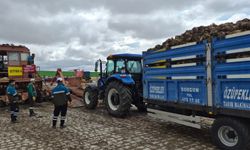 Sorgun Şeker Fabrikası’nda 29. pancar alım kampanyası başladı