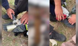 Kafası konserve kutusunda sıkıştı: İtfaiye imdadına yetişti
