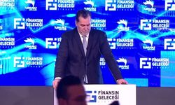 Ali Emre Ballı kimdir? Nereli, kaç yaşında, ne iş yapar?
