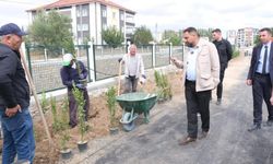 Sorgun'da yürüyüş ve bisiklet yolları genişliyor