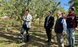 Çayıralan Kaymakamı Açar’dan badem üreticisine ziyaret