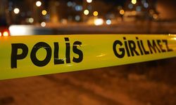 Ağaçtan düşen öğretmen hayatını kaybetti