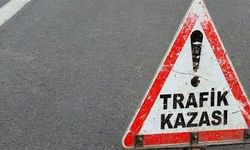 Otomobil yaşlı çifte çarptı: Koca öldü, eşi ağır yaralı