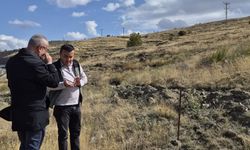 Yozgat’ta 10 bin fidanla hatıra ormanı oluşturulacak