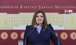 Selcan Taşçı Hamşioğlu kimdir? Selcan Taşçı nereli, evli mi, eşi kim ve hangi partili?