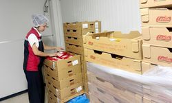 Yozgat’ta gıda denetimlerinde 11,3 milyon TL ceza kesildi!