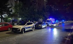 Bir kişi tartıştığı babasını bıçakla öldürdü