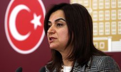 Gülüstan Kılıç Koçyiğit kimdir? Gülüstan Kılıç Koçyiğit aslen nereli, eğitimi nedir ve siyasi kariyeri nasıl şekillendi?