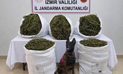 Jandarmadan uyuşturucu operasyonu! 54 kilo esrar ele geçirildi