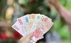 Emeklilere 30 bin TL faizsiz taksitli kredi fırsatı