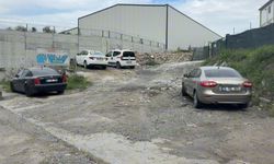 Cinayetin faili araç içerisinde ölü bulundu