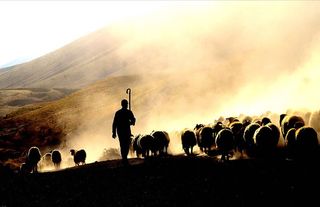 Yozgat çiftçilerine müjde: Yeni desteklerde rekor artış!