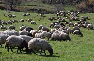 Bakan açıkladı: 8 yılda 400 milyon destek!
