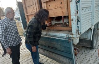 Hakkari'den Çorum'a:  Doğal hayatın temsilcileri
