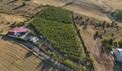 Almanya'da doktorun önerisini dinledi! Yozgat'ta üretici oldu