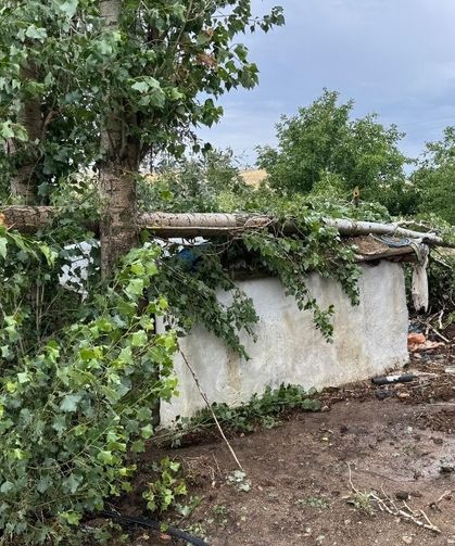 Yozgat’ta dolu ekinleri vurdu: Köylüler afet bölgesi ilanı istedi
