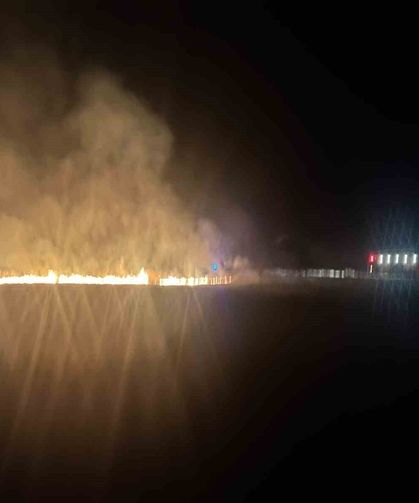 Çiftçinin bir yıllık emeği yangında zarar gördü: 20 dönümlük alan kül oldu