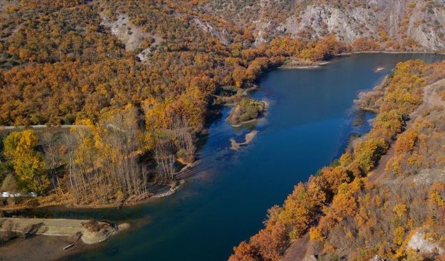 Yozgat'ın komşusundan çıktı! Böylesini daha önce görmediniz