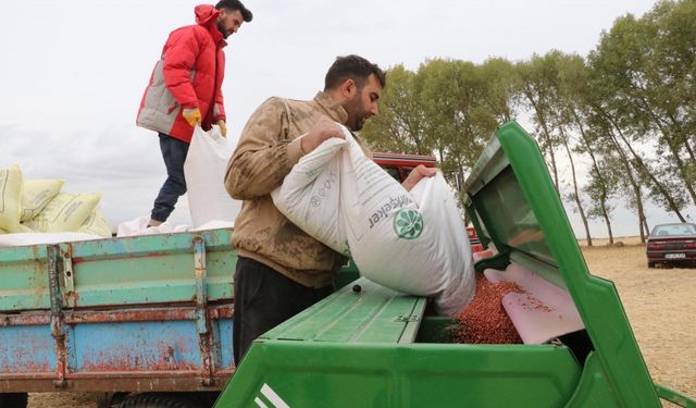 Türkiye'de 5. sırada yer alan Yozgat'ta 547 bin 782 dekar alana ekildi