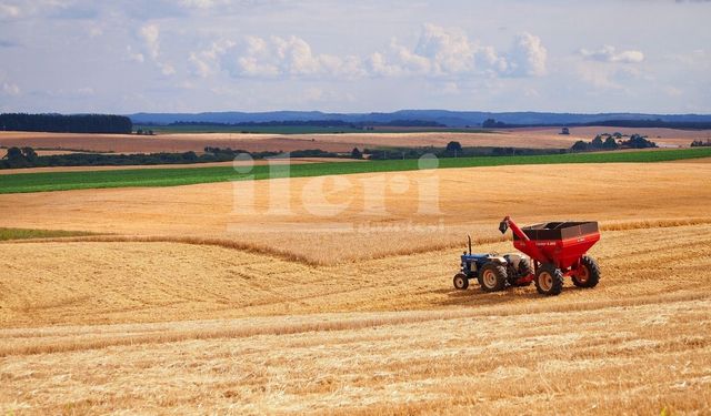 Türkiye'nin tarım haritası değişiyor: TMO'nun Ekim 2023 raporu şaşırttı!