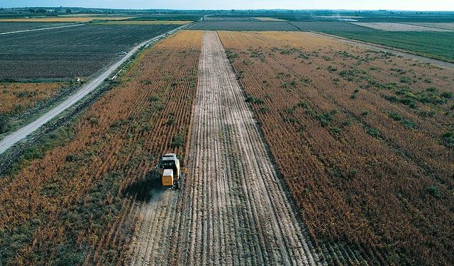 Yozgat, Nevşehir ve Niğde'ye alternatif oluyor: Dekara 7 ton ürün alınıyor!