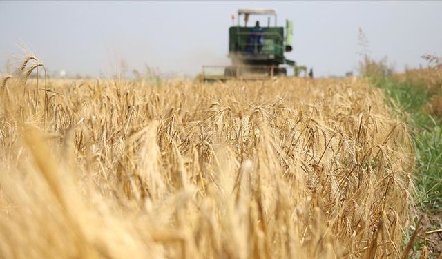 Tarımsal Girdi Fiyat Endeksi verileri açıklandı! Girdi Fiyat Endeksi yüzde 40,97 arttı