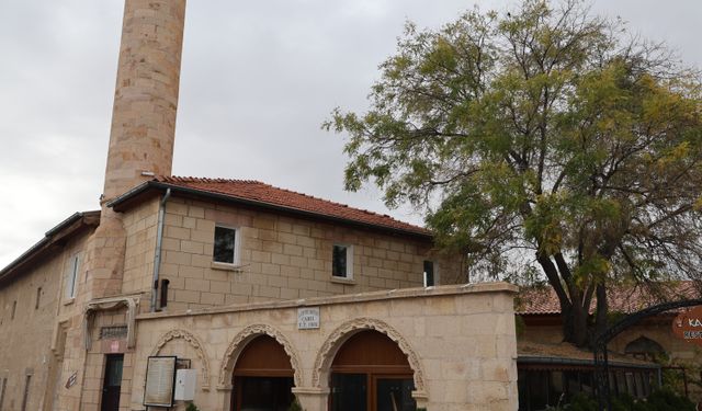 Bir asır sonra fark edildi, yaşı uzmanları bile şaşırttı