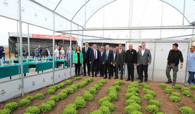 İstihdam kapıları açılıyor! Tarla değil cezaevi