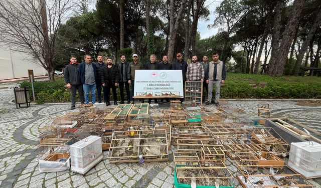 Yasa dışı yakalanarak ticareti yapılan 902 kuş doğaya bırakıldı