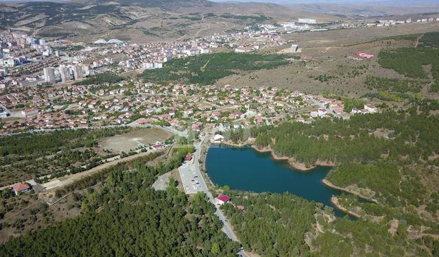 Yozgat tarımı tehdit altında: İl Tarım ve Orman Müdürlüğü harekete geçti!