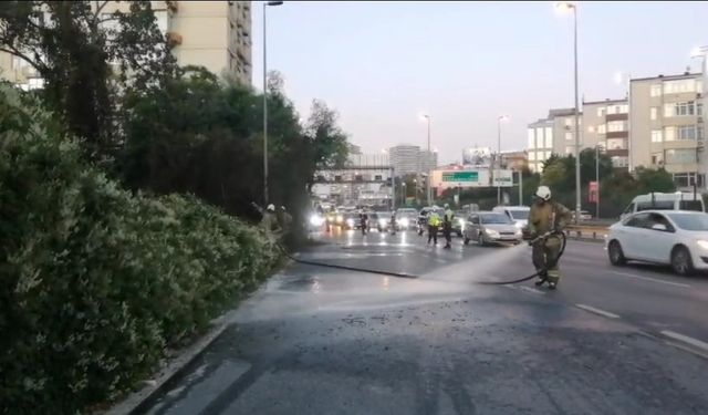 Ağaçlık alanda çıkan yangın korkuttu: Erken müdahale yangının büyümesini önledi!